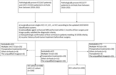 Diagnostic Performance of LI-RADS Version 2018 for Primary Liver Cancer in Patients With Liver Cirrhosis on Enhanced MRI